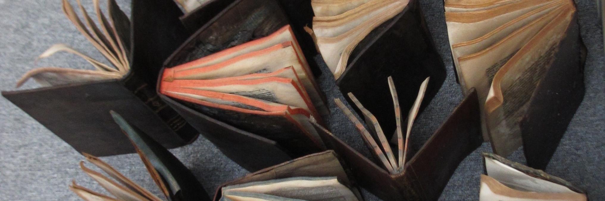 Libros rescatados en el Centro de Documentación Patrimonial de la  U. de Talca en proceso de secado (Correa, S. 2016, Archivo CNCR).