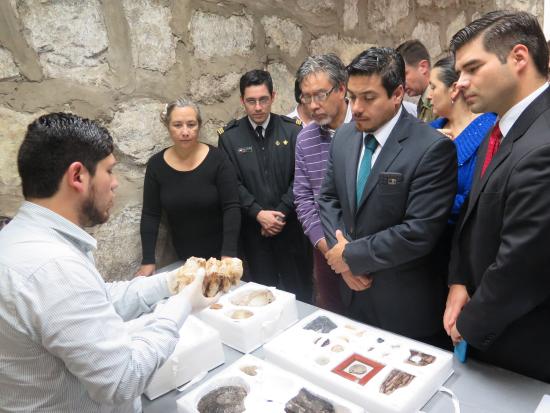 Profesional del CMN expone sobre las técnicas de identificación de bienes paleontológicos