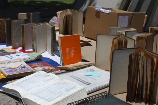 Libros rescatados en emergencia por agua (Monteverde, P. 2024. Archivo CNCR).