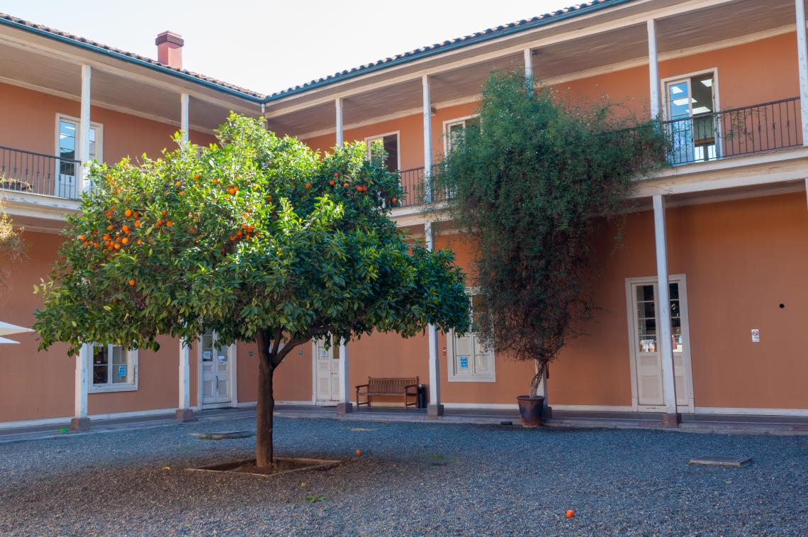 Patio del Naranjo, CNCR